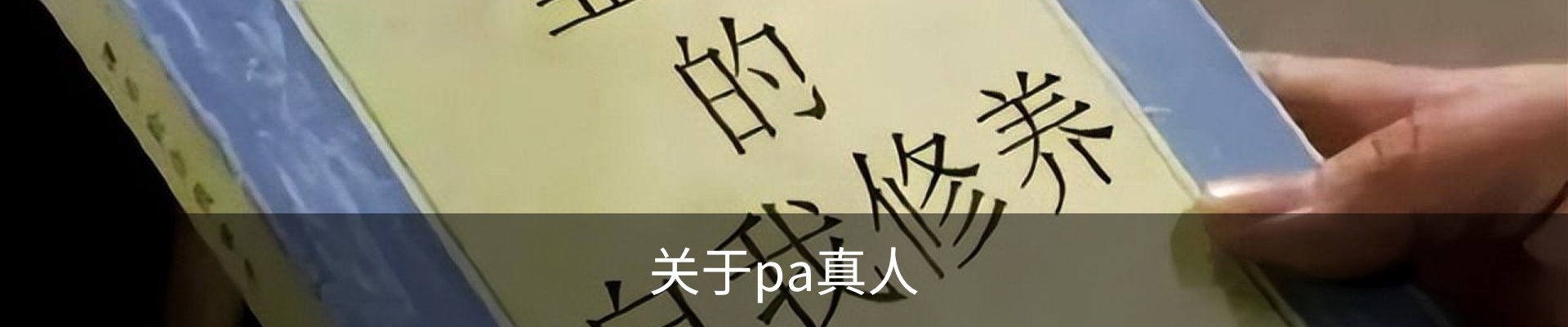 关于pa真人